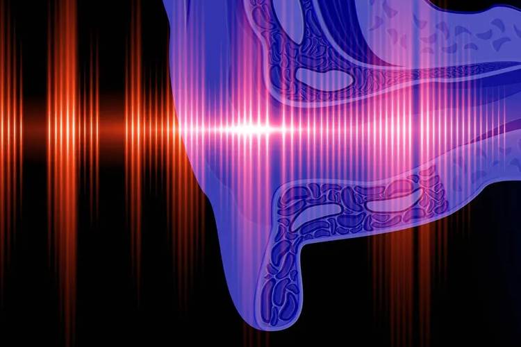 การฟื้นฟูการได้ยิน: เครื่องมือใหม่ในการสร้างเซลล์
